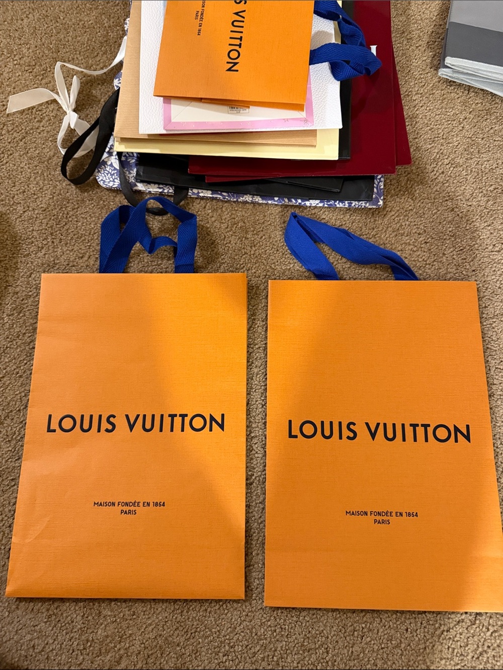 Shopping LV Bags